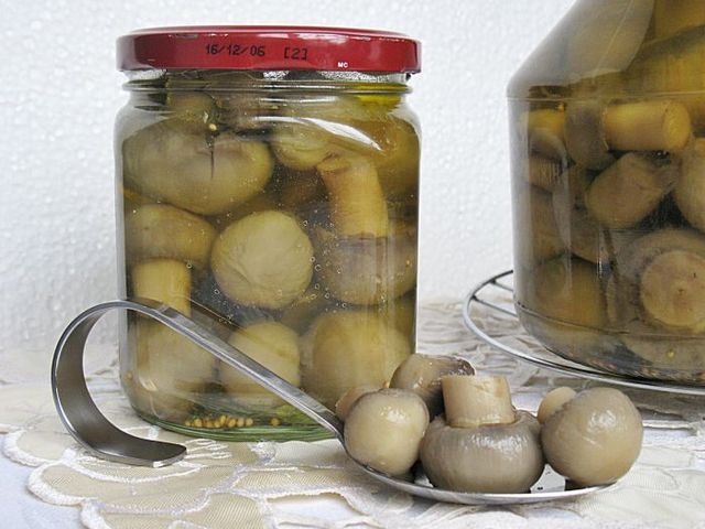 Cogumelos marinados para o inverno, receita clássica Cogumelos marinados para o inverno, receita clássica
