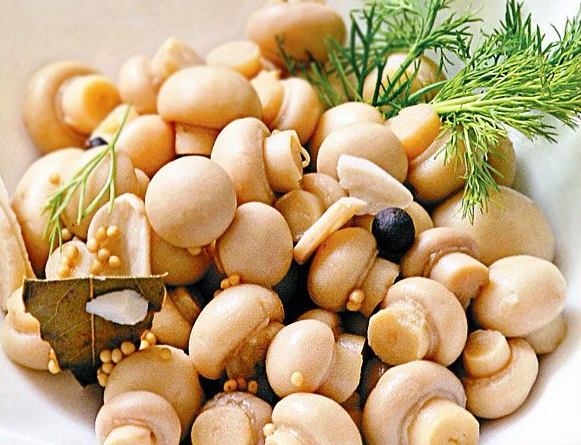 Champignons enlatados para o inverno, deliciosa receita Champignons enlatados para o inverno, deliciosa receita