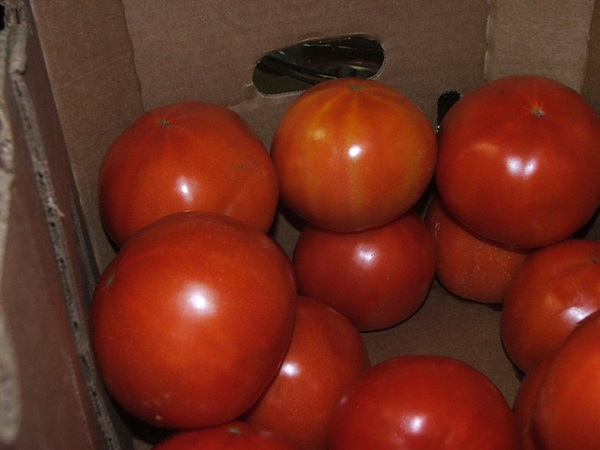 Ketchup de mãos dadas dos tomates: receitas passo a passo para a colheita para o inverno