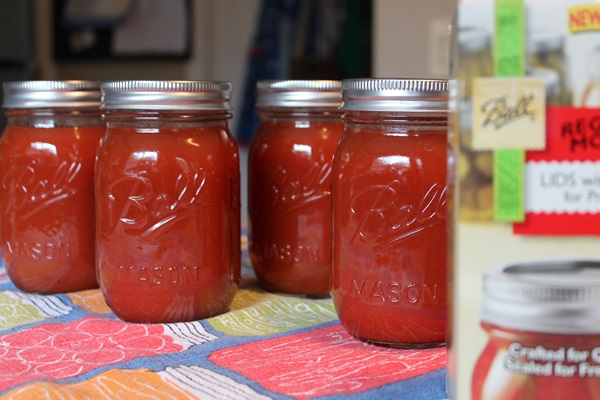 Ketchup de mãos dadas dos tomates: receitas passo a passo para a colheita para o inverno
