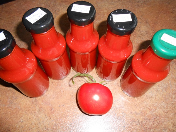 Ketchup de mãos dadas dos tomates: receitas passo a passo para a colheita para o inverno