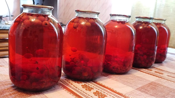 Compota de chokeberry ashberry