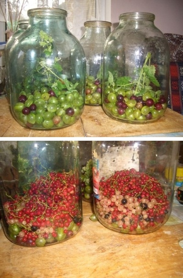 Compota de groselha para o inverno