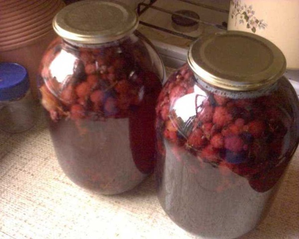 Contagem deliciosa de framboesas para o inverno