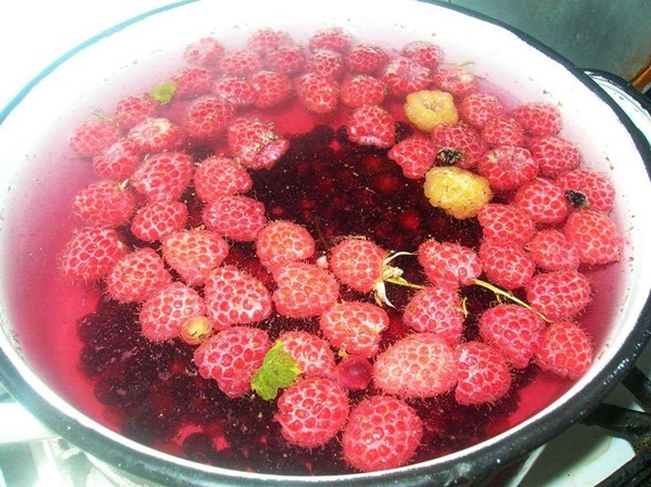 Contagem deliciosa de framboesas para o inverno