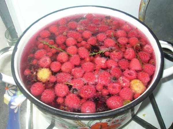 Contagem deliciosa de framboesas para o inverno