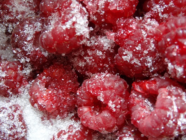 Contagem deliciosa de framboesas para o inverno