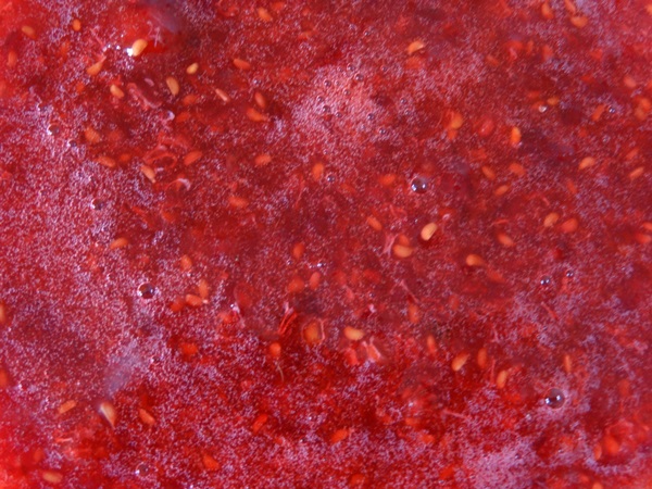 Contagem deliciosa de framboesas para o inverno