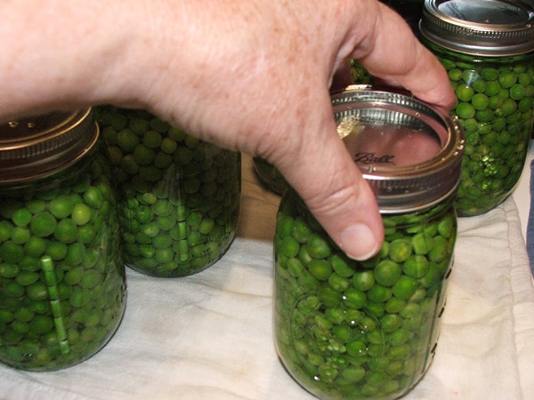 Ervilhas verdes, enlatadas para o inverno em casa