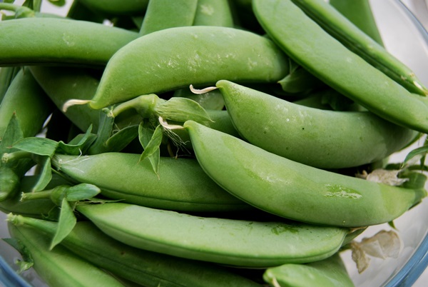 Ervilhas verdes, enlatadas para o inverno em casa