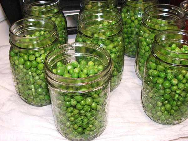 Ervilhas verdes, enlatadas para o inverno em casa
