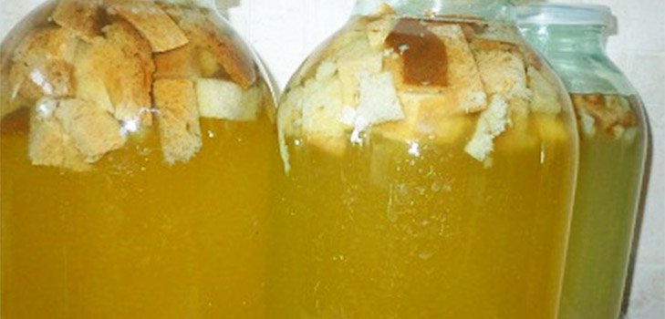 Receitas deliciosas e simples de kvass sobre sapo de bétula