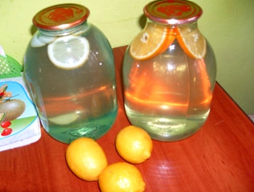 Receitas deliciosas e simples de kvass sobre sapo de bétula