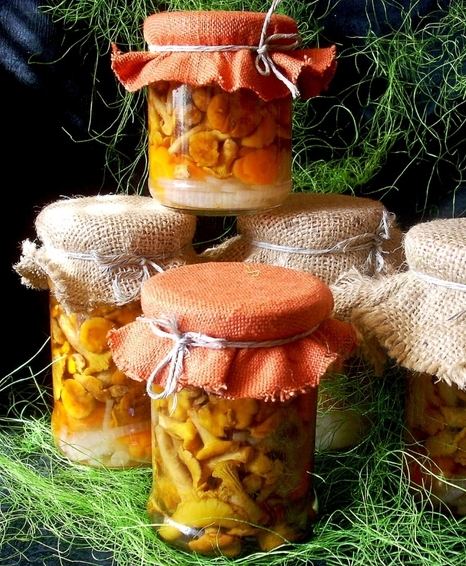 Chanterelle em conserva