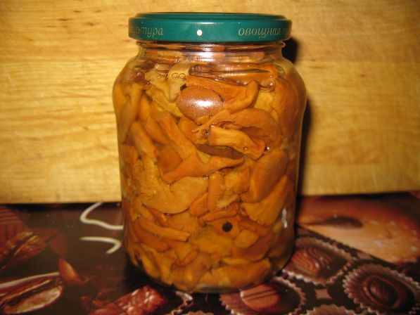 Chanterelle em conserva