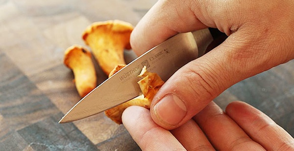 Chanterelle em conserva