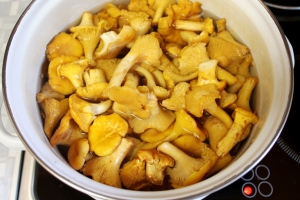 Chanterelle em conserva