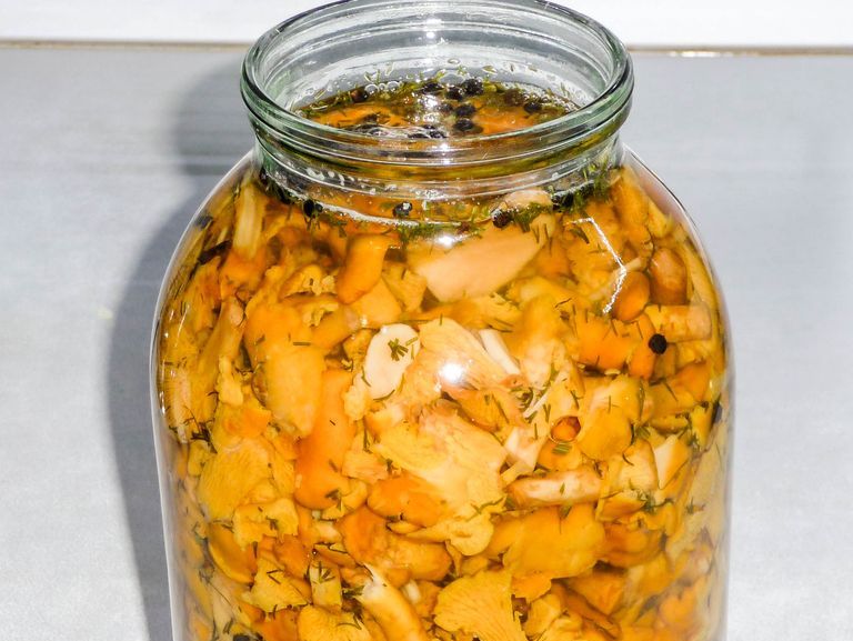 Chanterelle em conserva