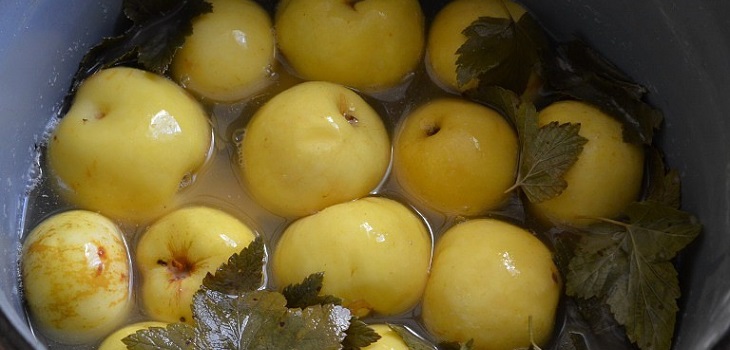 Receita para Maçãs Molhadas