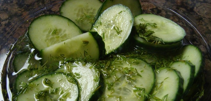 Pepino frio através de nylon e metal. Escolhendo pepinos de forma fria para o inverno: com mostarda, vodka, vinagre grátis Pepino frio através de nylon e metal. Escolhendo pepinos de forma fria para o inverno: com mostarda, vodka, vinagre grátis