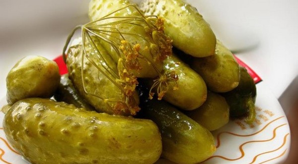 Pepino frio através de nylon e metal. Escolhendo pepinos de forma fria para o inverno: com mostarda, vodka, vinagre grátis