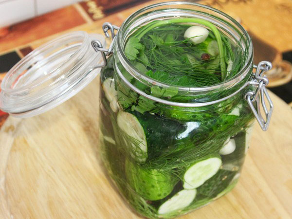 Pepino frio através de nylon e metal. Escolhendo pepinos de forma fria para o inverno: com mostarda, vodka, vinagre grátis Pepino frio através de nylon e metal. Escolhendo pepinos de forma fria para o inverno: com mostarda, vodka, vinagre grátis