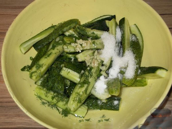Pepino frio através de nylon e metal. Escolhendo pepinos de forma fria para o inverno: com mostarda, vodka, vinagre grátis