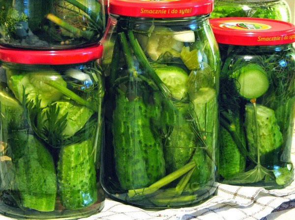 Pepino frio através de nylon e metal. Escolhendo pepinos de forma fria para o inverno: com mostarda, vodka, vinagre grátis Pepino frio através de nylon e metal. Escolhendo pepinos de forma fria para o inverno: com mostarda, vodka, vinagre grátis