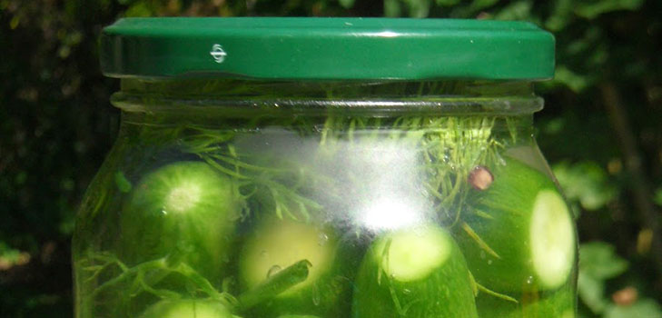 Receitas simples para a conservação de pepinos para o inverno sem vinagre
