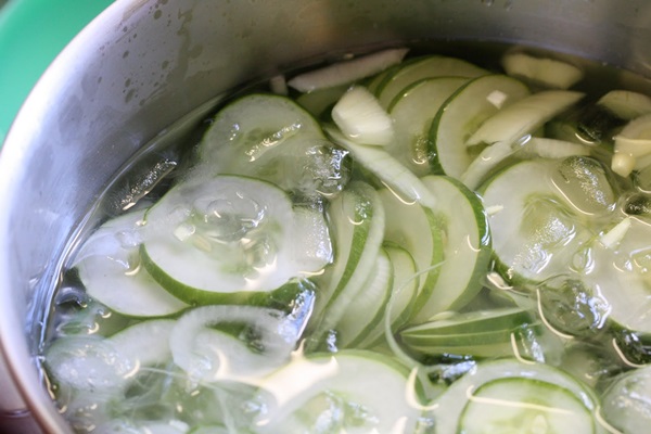 Receitas simples para a conservação de pepinos para o inverno sem vinagre