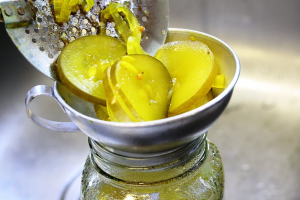 Receitas simples para a conservação de pepinos para o inverno sem vinagre
