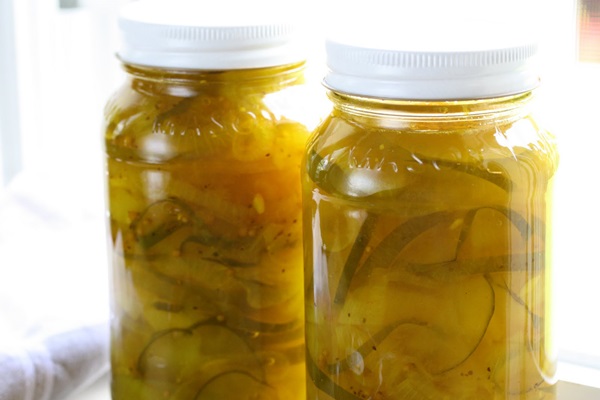 Receitas simples para a conservação de pepinos para o inverno sem vinagre
