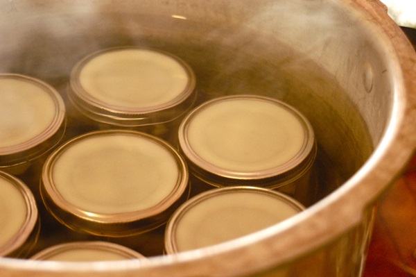 Receitas simples para a conservação de pepinos para o inverno sem vinagre