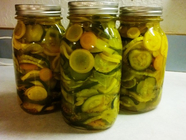 Receitas simples para a conservação de pepinos para o inverno sem vinagre