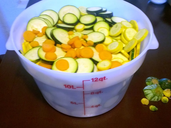 Receitas simples para a conservação de pepinos para o inverno sem vinagre