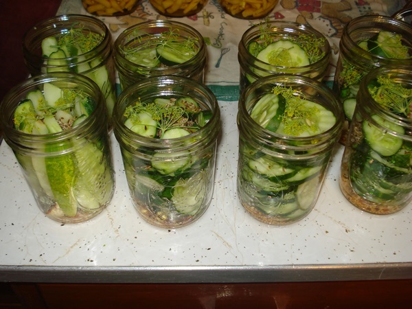 Receitas simples para a conservação de pepinos para o inverno sem vinagre