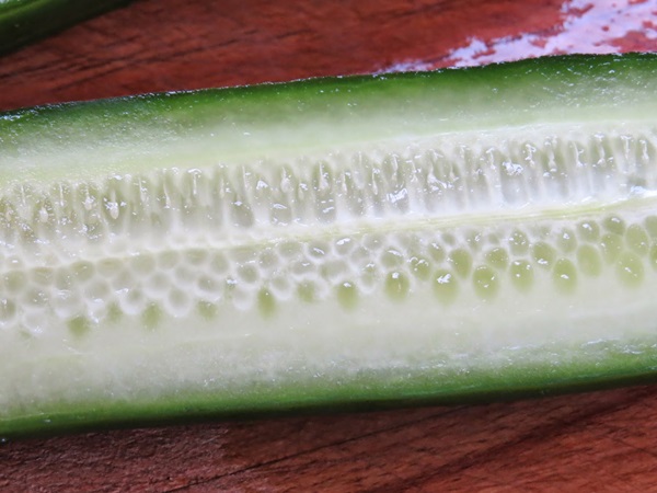 Receitas simples para a conservação de pepinos para o inverno sem vinagre