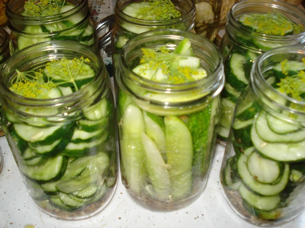 Receitas simples para a conservação de pepinos para o inverno sem vinagre