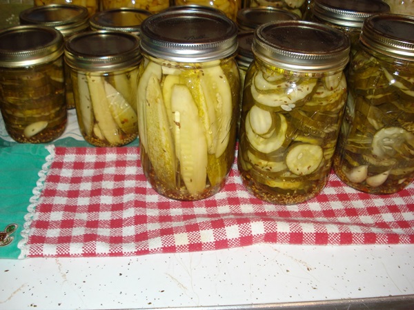 Receitas simples para a conservação de pepinos para o inverno sem vinagre