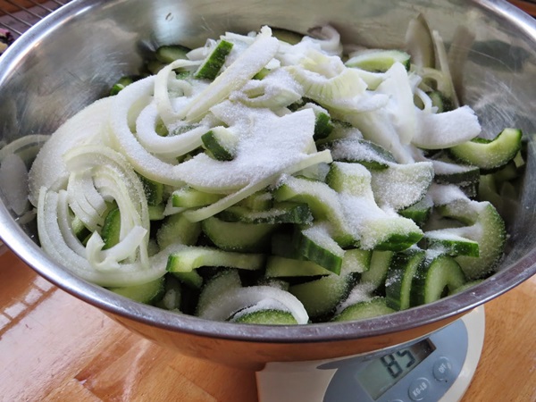 Receitas simples para a conservação de pepinos para o inverno sem vinagre