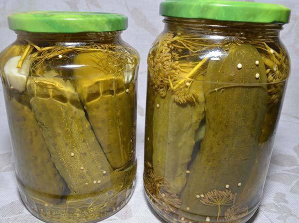 Pepinos com mostarda para o inverno sem esterilização e com ele, calor e frio. Salada de pepinos em excesso com mostarda