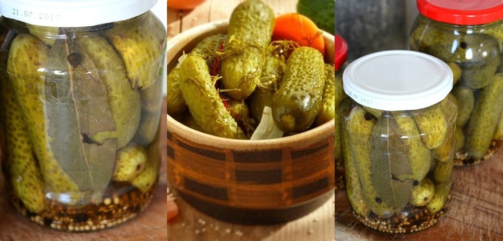 Pepinos com mostarda para o inverno em latas, receitas com foto