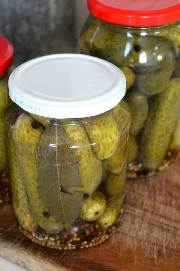 Pepinos com mostarda para o inverno em latas, receitas com foto