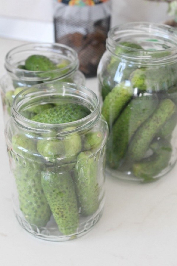 Pepinos com mostarda para o inverno em latas, receitas com foto