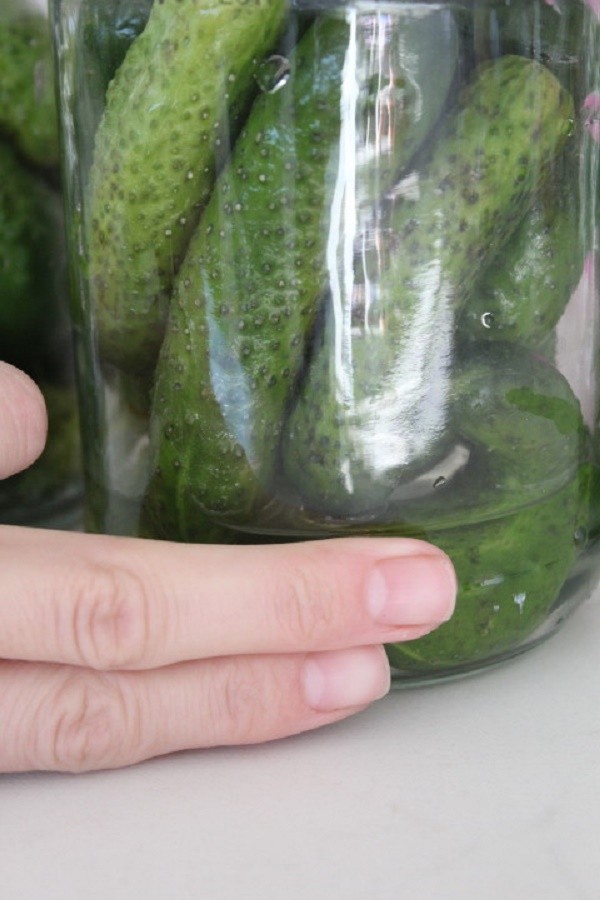 Pepinos com mostarda para o inverno em latas, receitas com foto