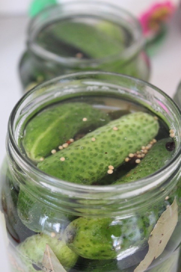 Pepinos com mostarda para o inverno em latas, receitas com foto