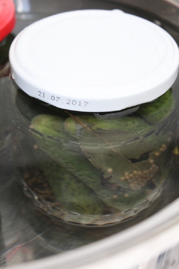 Pepinos com mostarda para o inverno em latas, receitas com foto