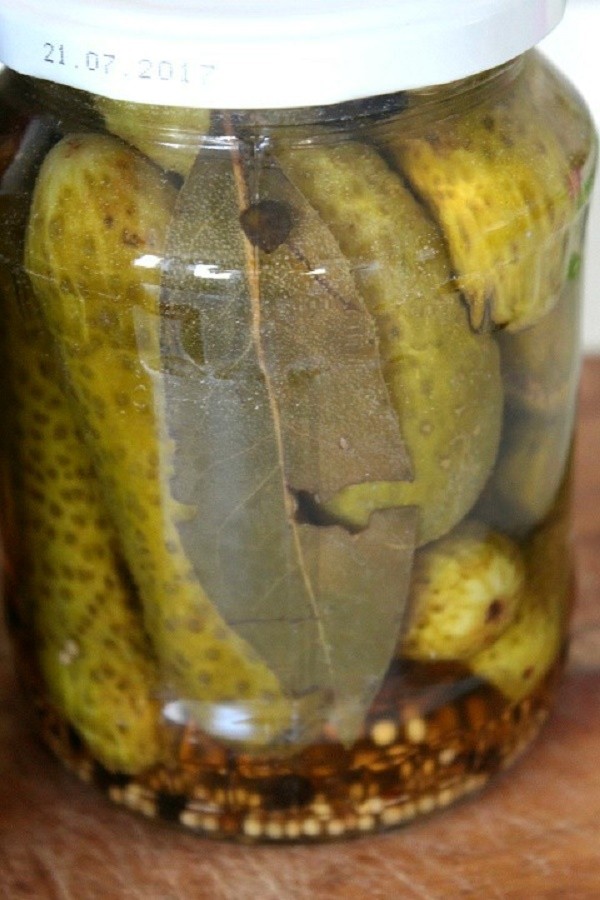 Pepinos com mostarda para o inverno em latas, receitas com foto