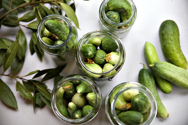 Pepinos com mostarda para o inverno em latas, receitas com foto