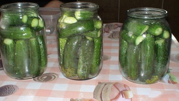 Pepinos com ketchup para o inverno - sem esterilização, em latas. Colheita para o pepino nítido e crocante de inverno com pimentão ketchup